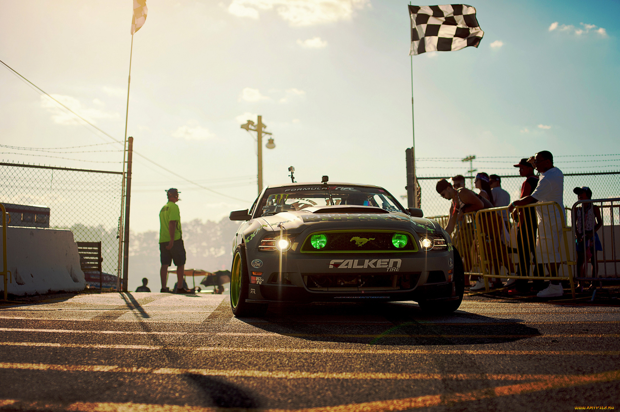 , mustang, 